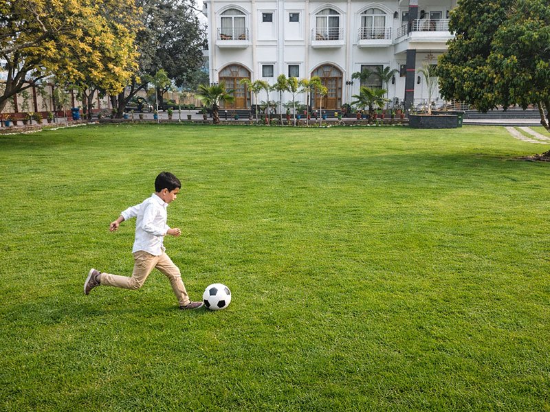 In-house Activities