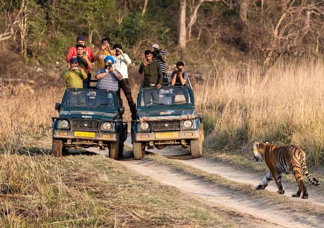 Jim Corbett National Park