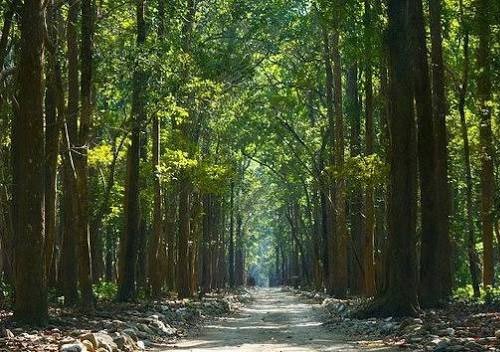 Sitabani Wildlife Reserve